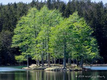 Möserer See