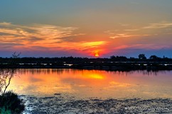 Laguna di Jesolo
