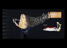Die Haarfee