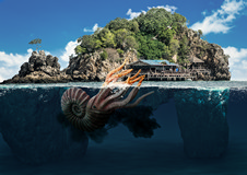 Paradise Island
