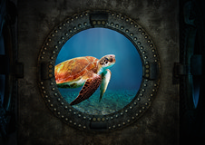 Inside Nautilus
