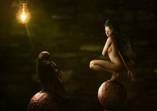 The Dark Fairy